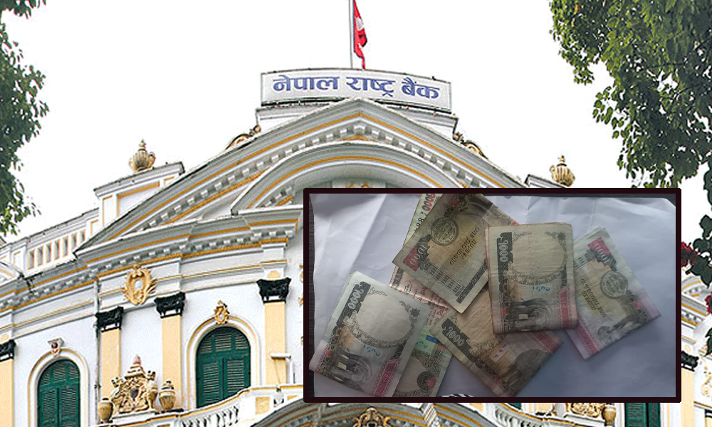 उपदान तथा पेन्सन कोषमा रहेको ९ अर्ब ३५ करोड रकम मुद्दती निक्षेपमा लगानी गर्दै राष्ट्र बैंक,आवेदन दिन यस्ता छन् शर्तहरु